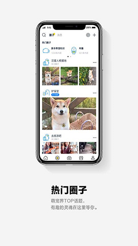 它福app1