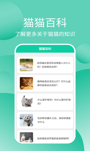 猫猫交流器软件宣传图