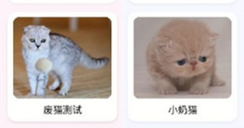 猫语翻译大师app软件功能