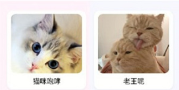 猫语翻译大师app软件特色